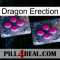 Dragon Erection 01